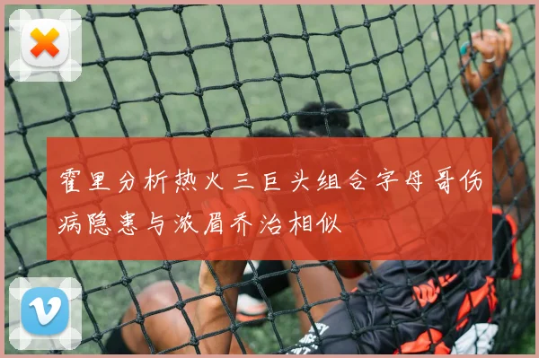 霍里分析热火三巨头组合字母哥伤病隐患与浓眉乔治相似