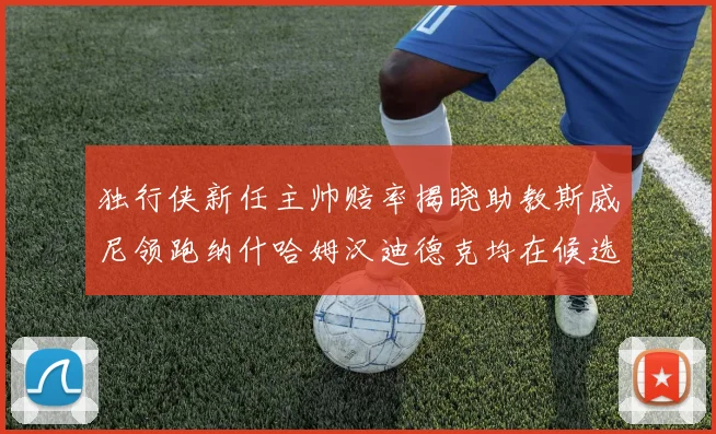 独行侠新任主帅赔率揭晓助教斯威尼领跑纳什哈姆汉迪德克均在候选之中
